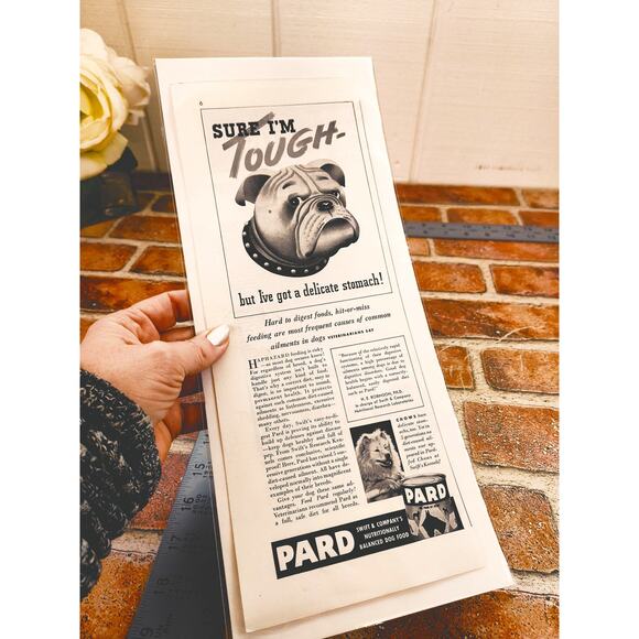 1941 Bulldog Tough but Delicate Stomach Pard Dog‎ Food Vintage Print Ad - Picture 3 of 9